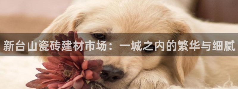 杏鑫平台念7O777
