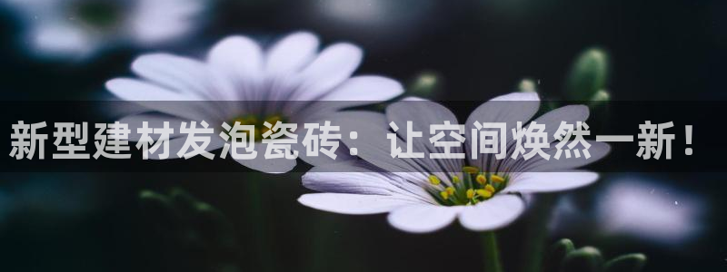 杏鑫登录注册测速