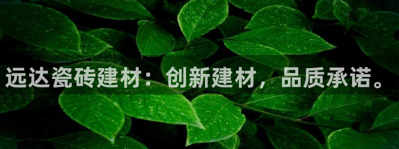 杏鑫平台招商怎么样可靠吗