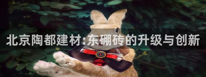 杏鑫平台代理注册多少钱一年