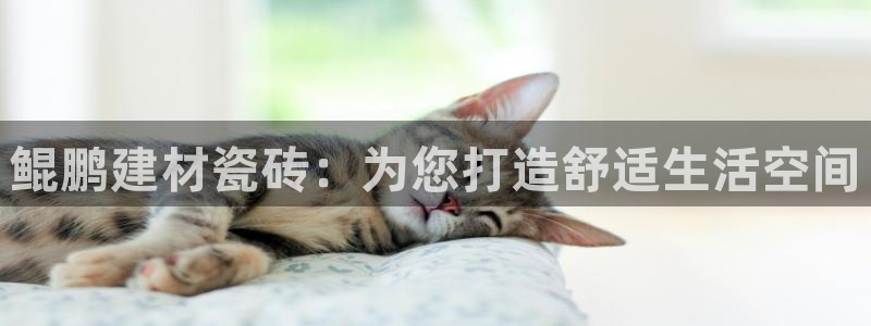 杏鑫平台野马联盟怎么样