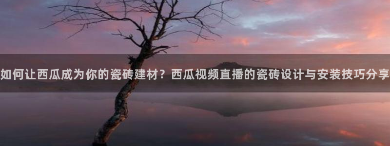 杏鑫主管