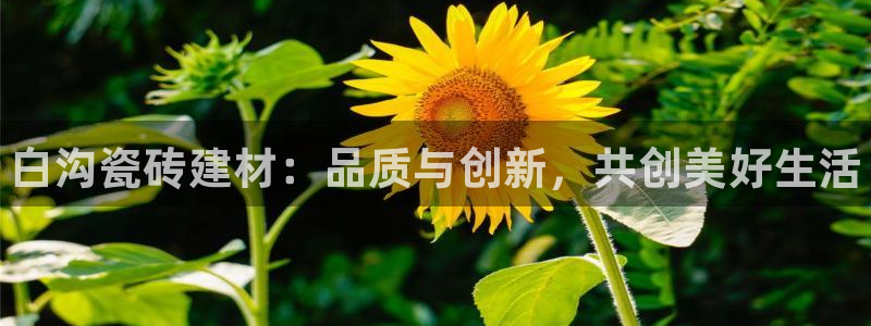 杏鑫平台测速