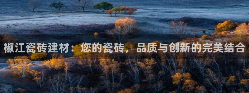 杏鑫有亏损返点吗