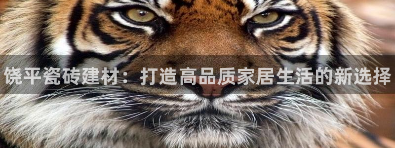 杏鑫官网注册账号密码忘了