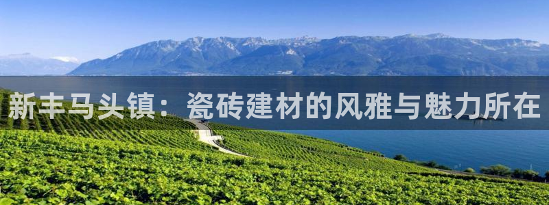 杏鑫娱乐开发团队