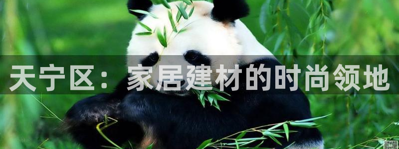 杏鑫平台注册网址是什么