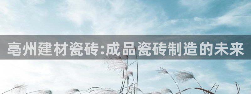 杏鑫平台招商怎么样