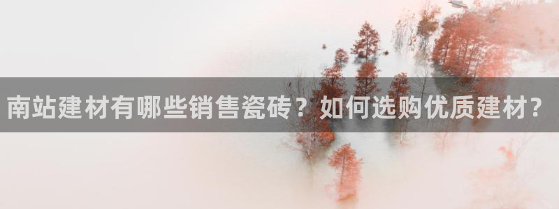 杏鑫官网最新信息