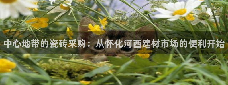 杏鑫平台代理怎么样啊