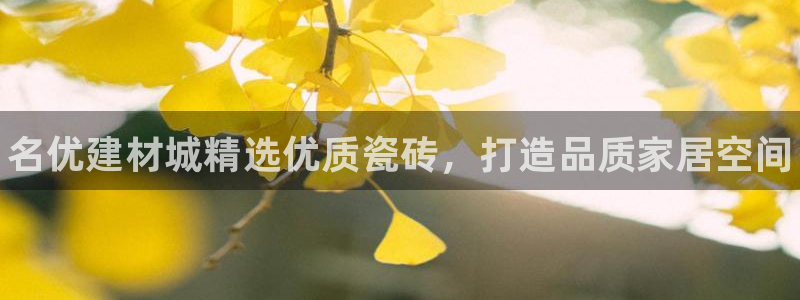 杏鑫平台登录注册