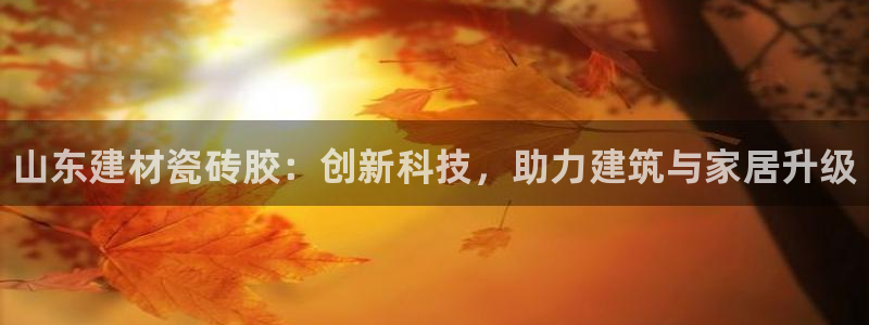 杏鑫官网注册账号是什么意思