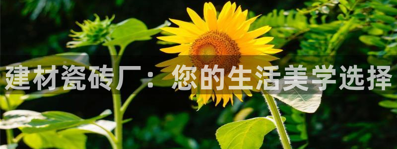 杏鑫平台代理怎么做赚钱