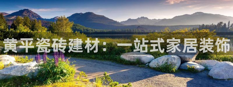 杏鑫娱乐开发团队