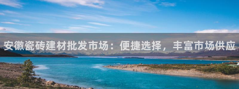 杏鑫平台代理注册登录不了怎么办呀视频