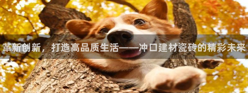 杏鑫娱乐官方网站客户端下载