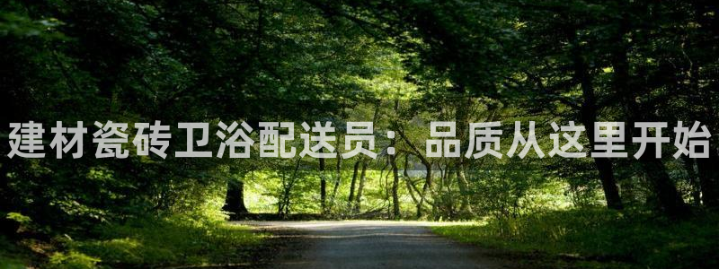 杏鑫平台代理注册流程图